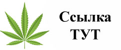 Купить наркотики в Хабаровске